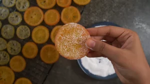 laranja desidratada na airfryer